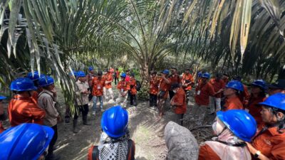 BPDP dan DITJENBUN Gandeng LPP Agro Nusantara Jalankan Pengembangan SDM