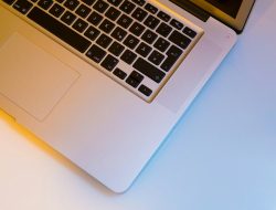 Cara Download Sertifikat UTBK 2025 Gampang, Cek Link Pengumuman Hasil UTBK Pakai Link Berikut