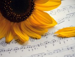 4 Pilihan Lagu Nasional Upacara Hari Kebangkitan Nasional 20 Mei