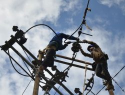 Terdampak Cuaca Ekstrem, PLN Lakukan Perbaikan Jaringan: Ini Daftar Wilayah Terdampak Pemadaman