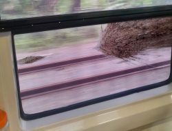 Duh, Kereta Jarak Jauh Bandung-Surabaya Gubeng jadi Sasaran Pelemparan di Daop 6