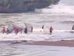 Musim Impun Datang Lebih Awal, Nelayan Pantai Baron Raup 2 Kuintal Sekali Menjaring