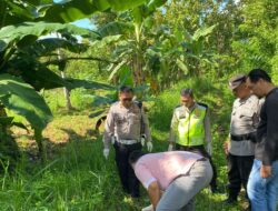 Penemuan Mayat di Ladang Patuk Gunungkidul: Diduga Tergelincir dan Terbentur Batu