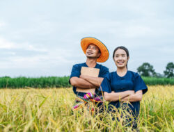 Naik Tipis, Terselip Krisis: Wajah Ganda Nilai Tukar Petani DIY Mei 2025