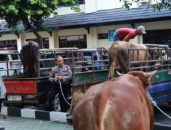 Polda DIY Salurkan 41 Hewan Kurban dan Gelar Sholat Id Bersama Masyarakat