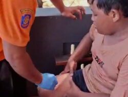 Puluhan Wisatawan Gunungkidul Tersengat Ubur-Ubur Botol Biru, Anak-anak Menjerit Kesakitan di Tepi Pantai