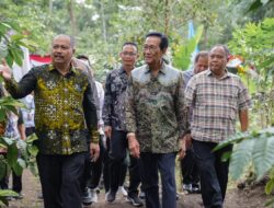 Panen Perdana Kopi Robusta Lereng Merapi, Kementan RI Dukung Pengembangan Komoditas Kopi di Sleman