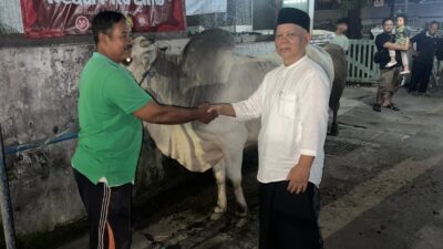 Sultan HB X dan Keluarga Berkurban Satu Lembu di Masjid Wiworojati Suryoputran