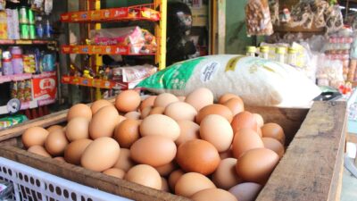 Jelang Idulfitri 1447 H, Stok Pangan Surplus dan Harga Terkendali di Yogyakarta