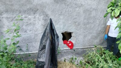 Tembok Belakang Dijebol: Gudang Pakan CV Djago Kate Dibobol Maling, Rugi Ratusan Juta Rupiah