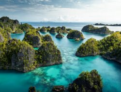 Siapa Pemilik PT GAG Nikel? Anak Perusahaan Antam yang Punya Tambang Nikel di Raja Ampat