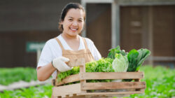 Petani Milenial