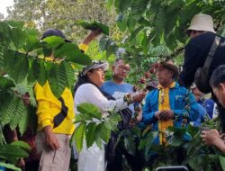 Lama Tinggal Wisatawan di Gunungkidul Masih Singkat, Okupansi Hotel Hanya Sentuh 50 Persen Meski Libur Panjang