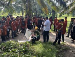 90 Pekebun Sawit Ikuti Pelatihan di Medan, Dibekal Ilmu Menuju Budidaya Berkelanjutan