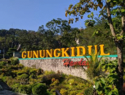 Pemkab Gunungkidul Ancam Cabut Izin Investor yang Biarkan Lahan Mangkrak, Ini Faktanya!