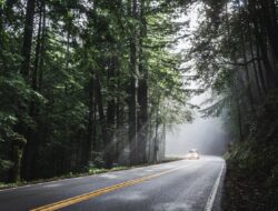 Jadwal Ganjil Genap dan Satu Arah Puncak Bogor 19-20 Juli 2025