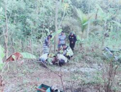 Pengendara Motor Terperosok ke Jurang di Bukit Bego Imogiri, Luka di Kepala Tak Terelakkan