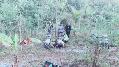 Pengendara Motor Terperosok ke Jurang di Bukit Bego Imogiri, Luka di Kepala Tak Terelakkan