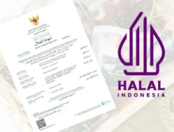 UMKM Lokal Terancam, Hampir 2 Juta Produk Impor Bersertifikat Halal Banjiri Pasar Indonesia 