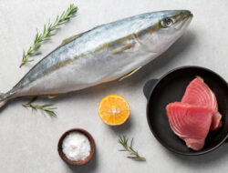 Lomba Masak Serba Ikan 2025, DIY Dorong Gastronomi Ikan jadi Motor Ekonomi dan Penjaga Budaya