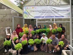 Smart Farming: Kunci Transformasi KWT Melati Asri dalam Mewujudkan Ketahanan Pangan