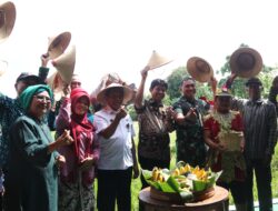 Pemkot Yogya Lestarikan Tradisi Upacara Wiwitan, Faktanya Begini
