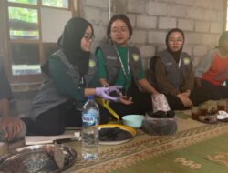 Briket Jerami Karya Mahasiswa KKN UNY: Bahan Bakar Alternatif yang Efisien dan Ramah Lingkungan