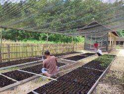 Rumah Bibit Desa Berdaya Energi Gunungkidul Terapkan Electrifying Agriculture Berbasis IoT, Tumbuhkan Pertanian Cerdas Ramah Lingkungan