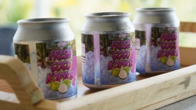 Ada Kampung Kopyor Semuten di Kabupaten Bantul