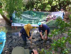 Dukung SDGs dan UI GreenMetric, UNY Tanam Pohon Mangrove dan Bersihkan Kawasan Pantai Kulon Progo