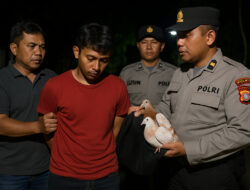 Aksi Pencurian Merpati di Bantul Gagal Total, Pelaku Diringkus Warga Tengah Malam