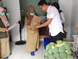 Program MBG di Yogyakarta: 14 SPPG Disiapkan, Pengawasan Pangan Diperketat