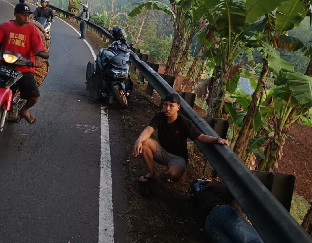 Adu Banteng di Jalan Jogja–Wonosari