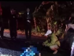 Pemotor Adu Banteng di Patalan Bantul dengan Mobil karena Melambung di Jalan Menikung