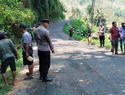 Pohon Tumbang di Samigaluh: Timpa Pengendara Motor, Kakek 65 Tahun Kehilangan Nyawa