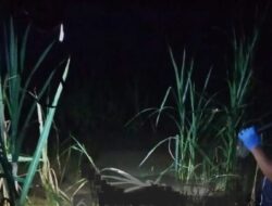 Identitas Mayat di Sungai Progo Terkuak: Warga Magelang Hilang saat Nyeser Ikan