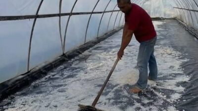 Pasangan pengolah garam di Srandakan sedang bekerja di tunnel plastik UV di Pantai Tanggul Tirto. (Ef linangkkung)