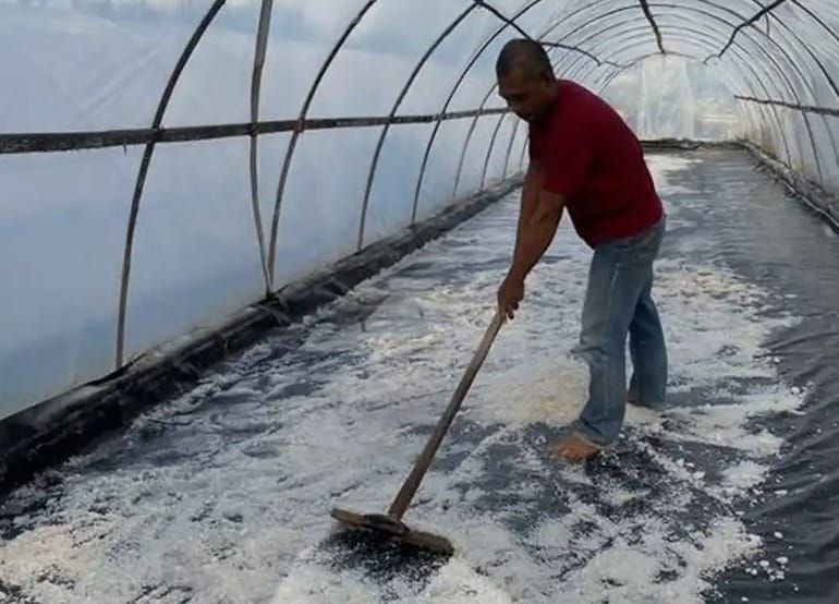 Pasangan pengolah garam di Srandakan sedang bekerja di tunnel plastik UV di Pantai Tanggul Tirto. (Ef linangkkung)