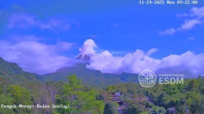 Gunung Merapi Luncurkan Awan Panas Guguran 1.500 Meter, BPPTKG Sebut Suplai Magma Masih Berlangsung