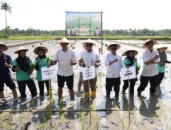 Kabupaten Sleman Jadi Percontohan Kampung Peramalan Organisme Pengganggu Tumbuhan