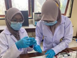 Inovasi Unik Mahasiswa UNY, Kulit Pisang untuk Deteksi Logam Berat Timbal di Air