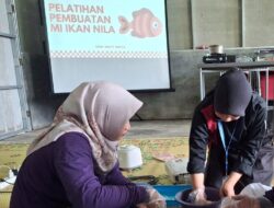 Mahasiswa UNY Kembangkan Mie Ikan Nila, Inovasi Gizi dari Olahan Ikan dan Peluang Usaha Kuliner Baru