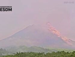 Gunung Merapi Luncurkan Enam Awan Panas dalam Sehari, Jarak Luncur Capai 2,5 Kilometer