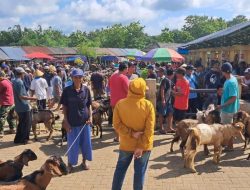 Harga Kambing di Gunungkidul Naik Sekitar 25 Persen Jelang Nataru Meski Aktivitas Pasar Menurun
