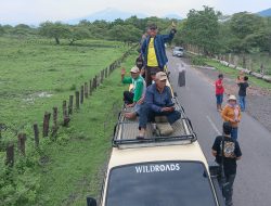 Taman Nasional Baluran yang Eksotik, Destinasi Wisata Alam di Ujung Timur Pulau Jawa