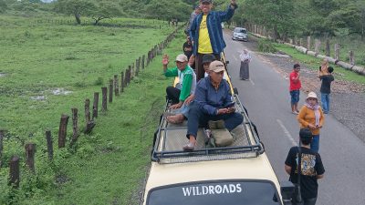 Taman Nasional Baluran yang Eksotik, Destinasi Wisata Alam di Ujung Timur Pulau Jawa