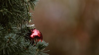 5 Teks Doa Malam Natal Keluarga Katolik, Sampaikan Permohonan Pribadi