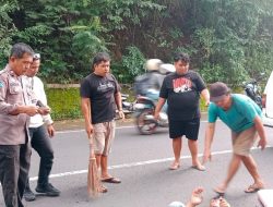 Rem Blong di Jalur Ekstrem Dlingo-Imogiri: Motor Matik Adu Banteng dengan Daihatsu Terios, Dua Orang Luka-Luka