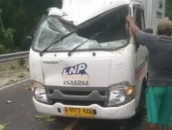 Kabin Truk Ekspedisi Ringsek Tertimpa Pohon Tumbang di Jalan Jogja–Wonosari, Pengemudi Selamat