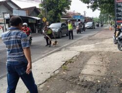 Mobil Datsun Go Masuk Jalur Lawan Arah di Imogiri Timur, Tabrak Honda Vario, Satu Pengendara Luka
